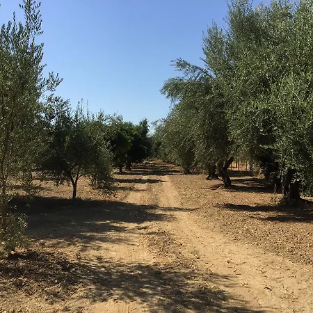 Vakantiehuis Elaianthos 1