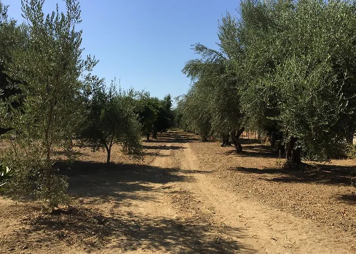 Casa vacanze Elaianthos 1